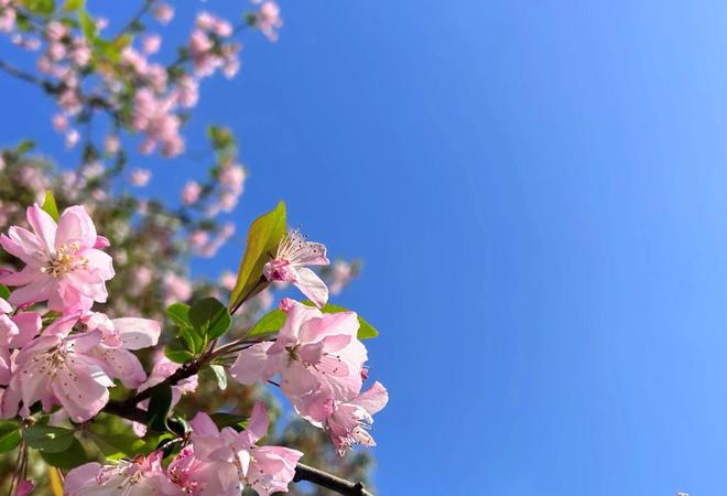 怨恨妻子无非3种心理男人背叛后为什么会