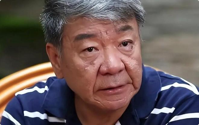 檀健次演贾宝玉刘亦菲演薛宝钗郑晓龙《红楼梦》网友推荐选角(图18)
